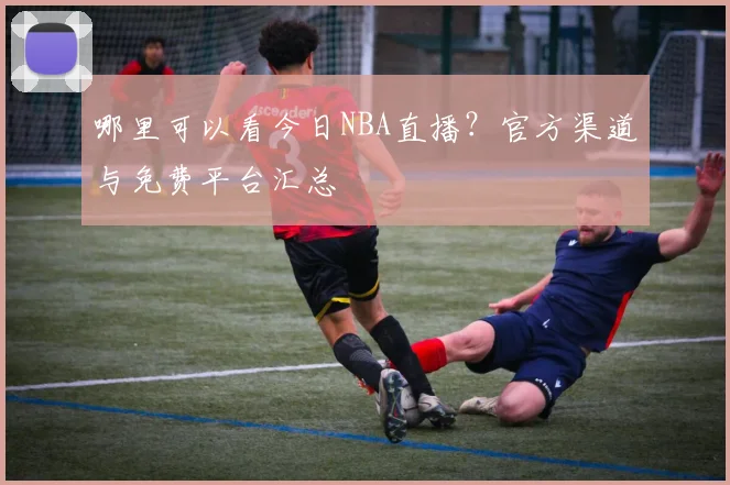 哪里可以看今日NBA直播？官方渠道与免费平台汇总