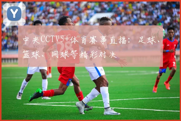 中央CCTV5+体育赛事直播：足球、篮球、网球等精彩对决